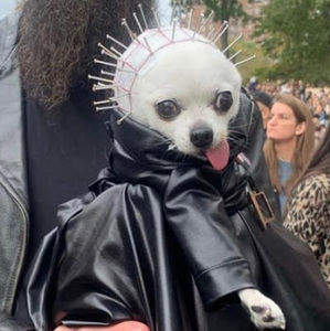 Meet your Posher, Nick